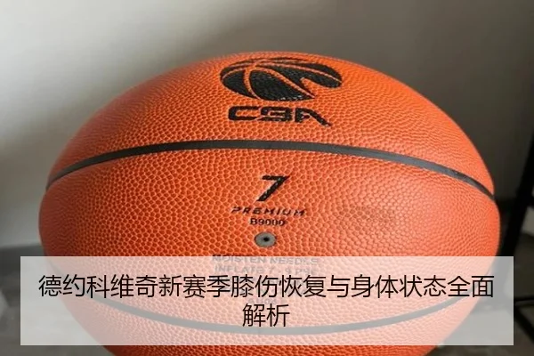 德约科维奇新赛季膝伤恢复与身体状态全面解析